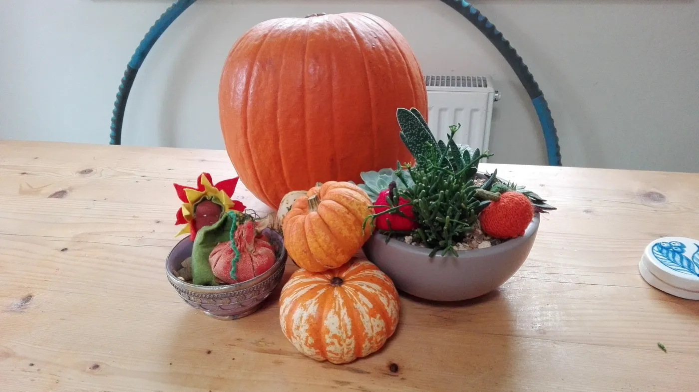 A pumpkin and small gourds on a kitchen table